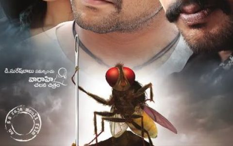 2012年印度经典喜剧片《功夫小蝇》蓝光中英双字