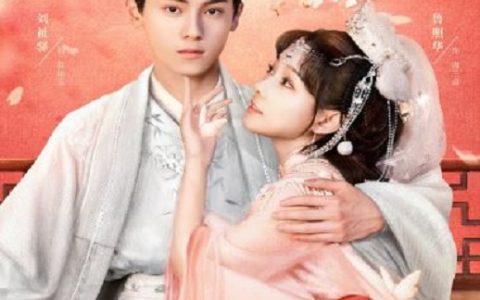 2025年国产大陆电视剧《与君重逢初见时》连载至16