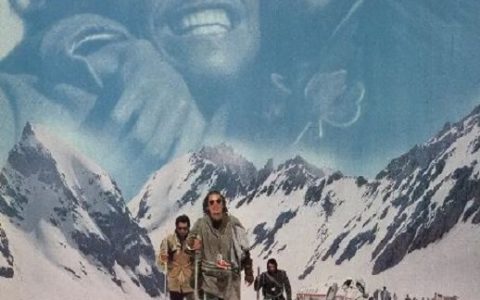 1993年美国经典动作片《天劫余生》蓝光中英双字