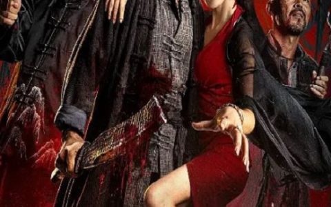 2025年国产悬疑片《穷凶极恶》HD国语中字