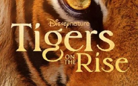 2024年美国纪录片《老虎崛起》HD英语中字