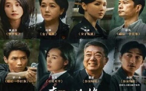 2025年国产大陆电视剧《真心英雄》连载至26