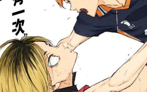 2024年日本8.3分动画片《排球少年！！垃圾场决战》BD日语中字