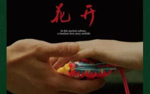 2023年国产剧情片《刺梨花开》HD国语中英双字