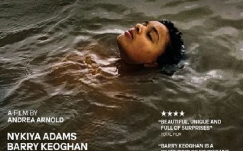 2024年英国剧情片《鸟》BD中英双字