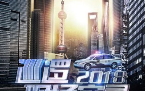 2018年国产大陆纪录片《巡逻现场实录2018》全12集