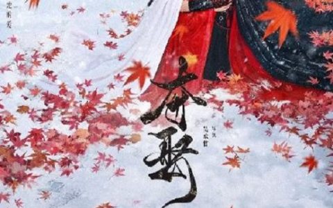 2025年国产大陆电视剧《夺娶》连载至10