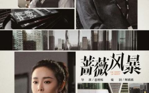 2024年国产大陆电视剧《蔷薇风暴》连载至26