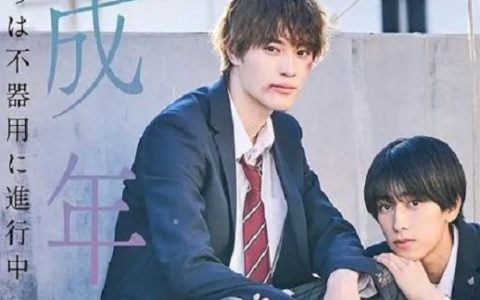 2024年日本电视剧《未成年～未成熟的我们正笨拙前行中～》全10集