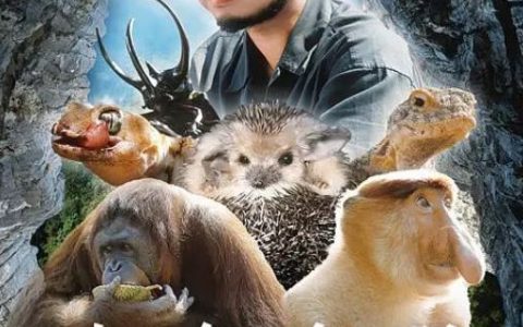 2024年国产大陆纪录片《生命奇观》全3集