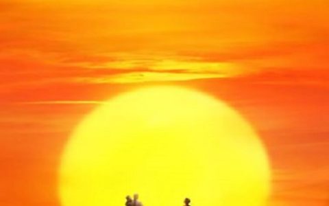 2019年国产剧情片《一切如你》HD国语中英双字