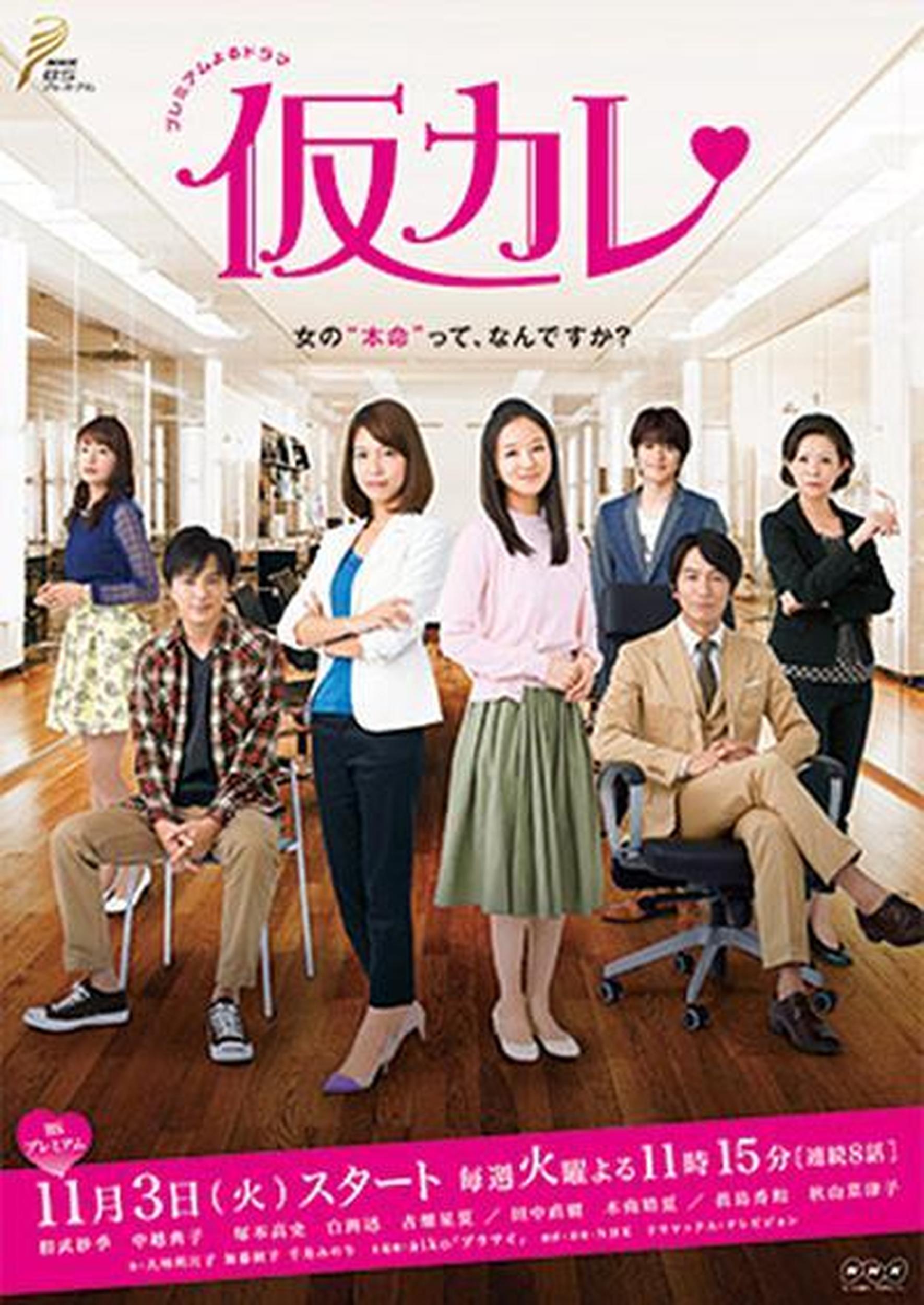 《临时男友》百度云网盘夸克下载.阿里云盘.中字.(2015)-电影天堂